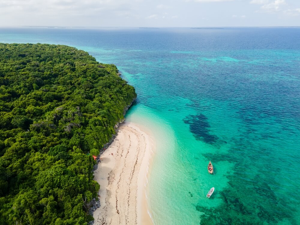 Wald und Strand auf Zanzibar